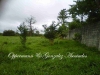 Land-for-sale-in-Santo-Domingo-via-Chone